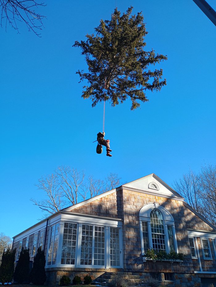We are completely capable of full tree removals with extreme precision, all while maintaining the safety and beauty of your property.
